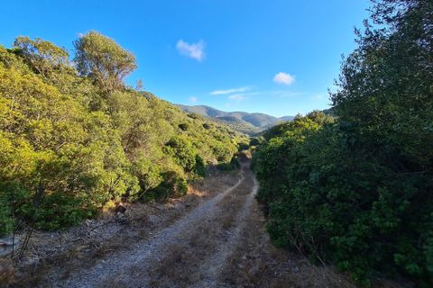 Helårsgrund i Sassari, Sassari, Sassari - € 490.000 | Ref: es5553473 - foto 6