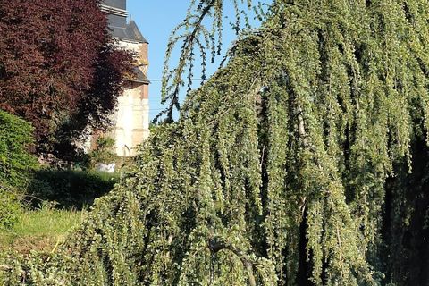 Villa i Macquigny, Aisne, Macquigny - € 395 000 | Ref: es5554593 - foto 13