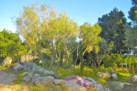 Villa a Bonifacio, Corse-du-Sud, Bonifacio - € 3.700.000 | Ref: es5554570 - foto 32