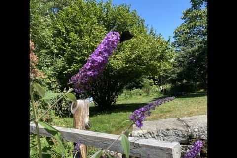 Villa i Viscomtat, Puy-de-Dome, Viscomtat - € 210.000 | Ref: es5554321 - foto 3