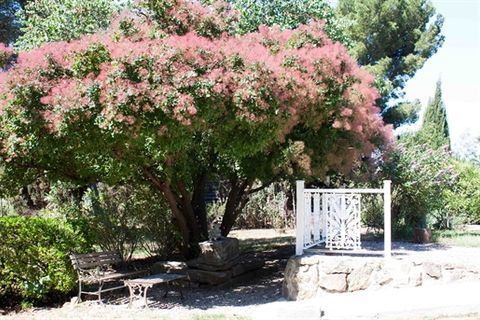 Villa i Aigues-Vives, Herault, Aigues-Vives - € 358.000 | Ref: es5554307 - foto 16