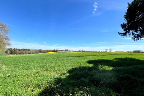 Villa a Pleugriffet, Morbihan, Pleugriffet - € 525.000 | Ref: es5554092 - foto 26