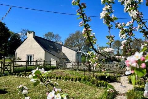 Villa a Pleugriffet, Morbihan, Pleugriffet - € 525.000 | Ref: es5554092 - foto 30
