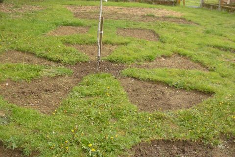 Villa i Brillac, Charente, Brillac - € 150.000 | Ref: es5553602 - foto 9