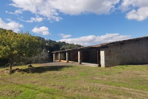 Villa a Braga, Braga, Braga - € 1.750.000 | Ref: es5554767 - foto 46
