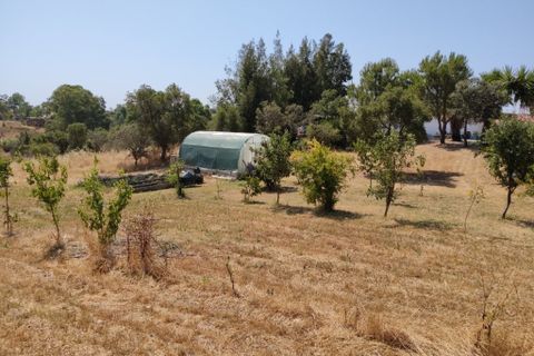 Villa i Mertola, Beja, Mertola - € 895.000 | Ref: es5554750 - foto 30