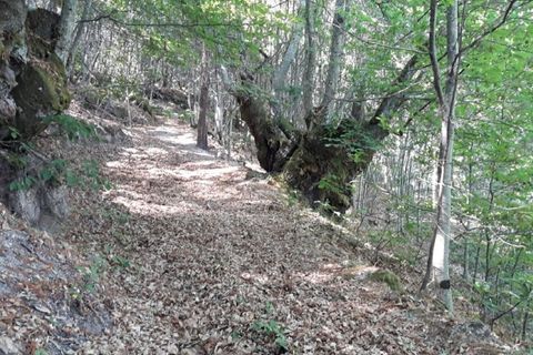 Farm i Seia, Guarda, Seia - € 95.000 | Ref: es5554744 - foto 32