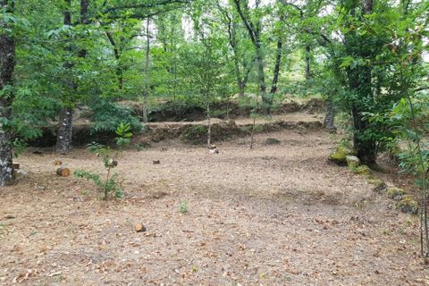 Farm i Seia, Guarda, Seia - € 95.000 | Ref: es5554744 - foto 34