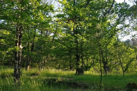 Farm i Seia, Guarda, Seia - € 95.000 | Ref: es5554744 - foto 35