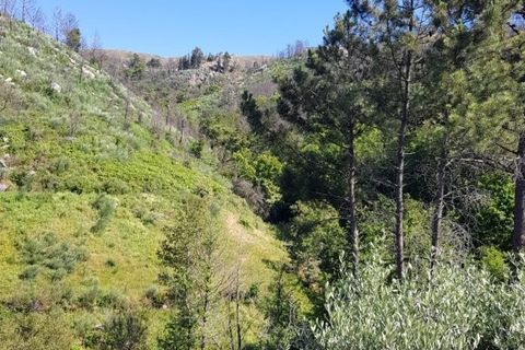 Farm i Seia, Guarda, Seia - € 95.000 | Ref: es5554744 - foto 39