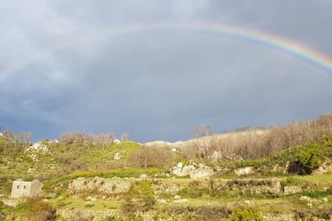 Farm i Seia, Guarda, Seia - € 95.000 | Ref: es5554744 - foto 44