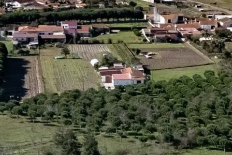 Villa i Figueira da Foz, Coimbra, Figueira da Foz - € 530.000 | Ref: es5554510 - foto 8