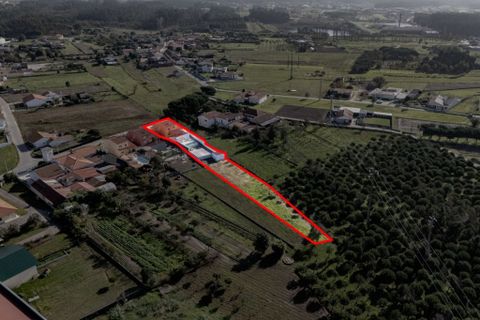 Villa i Figueira da Foz, Coimbra, Figueira da Foz - € 530.000 | Ref: es5554510 - foto 47