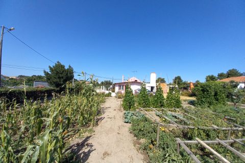 Villa a Setubal, Setubal, Setubal - € 528.000 | Ref: es5553794 - foto 37