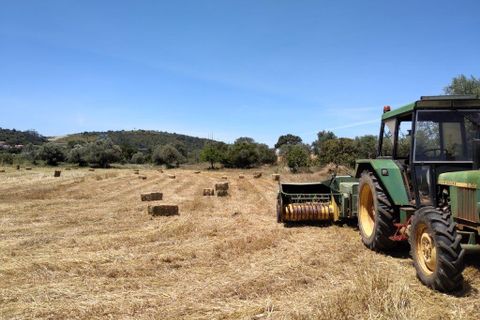 Farm i Silves, Faro, Silves - € 699.950 | Ref: es5553742 - foto 9