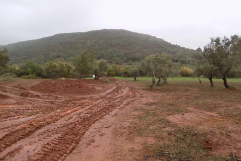 Farm i Silves, Faro, Silves - € 699.950 | Ref: es5553742 - foto 13
