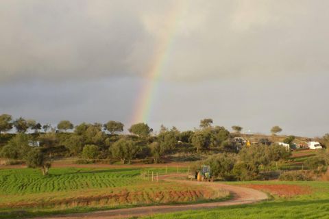 Farm i Silves, Faro, Silves - € 699.950 | Ref: es5553742 - foto 14
