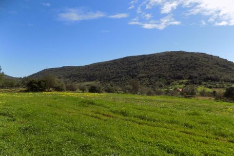 Farm i Silves, Faro, Silves - € 699.950 | Ref: es5553742 - foto 15