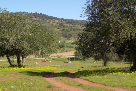 Farm i Silves, Faro, Silves - € 699.950 | Ref: es5553742 - foto 17