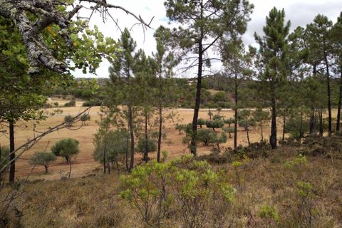 Farm i Silves, Faro, Silves - € 699.950 | Ref: es5553742 - foto 21