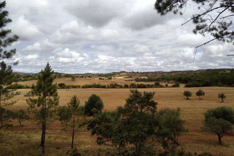 Farm i Silves, Faro, Silves - € 699.950 | Ref: es5553742 - foto 22