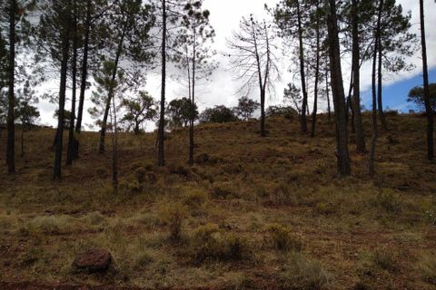 Farm i Silves, Faro, Silves - € 699.950 | Ref: es5553742 - foto 23