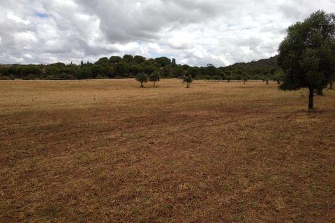 Farm i Silves, Faro, Silves - € 699.950 | Ref: es5553742 - foto 24