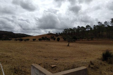 Farm i Silves, Faro, Silves - € 699.950 | Ref: es5553742 - foto 25