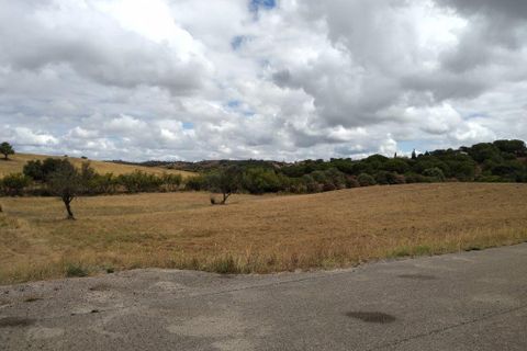 Farm i Silves, Faro, Silves - € 699.950 | Ref: es5553742 - foto 26
