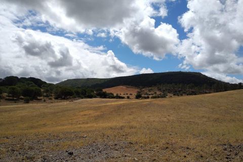 Farm i Silves, Faro, Silves - € 699.950 | Ref: es5553742 - foto 31