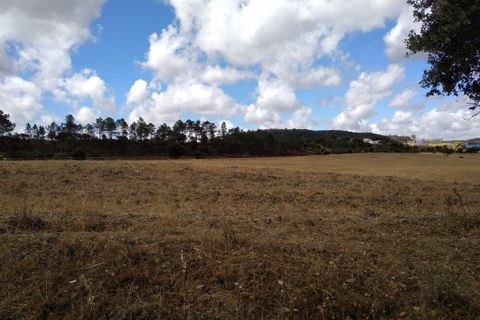 Farm i Silves, Faro, Silves - € 699.950 | Ref: es5553742 - foto 36