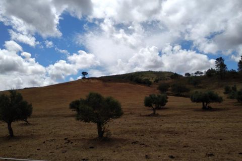 Farm i Silves, Faro, Silves - € 699.950 | Ref: es5553742 - foto 37