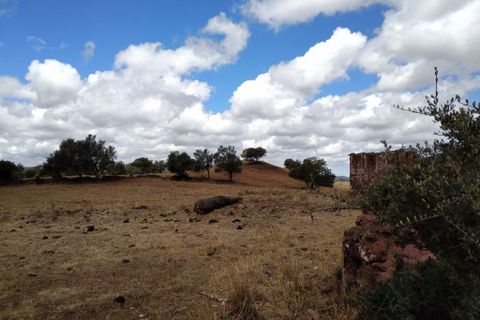 Farm i Silves, Faro, Silves - € 699.950 | Ref: es5553742 - foto 44