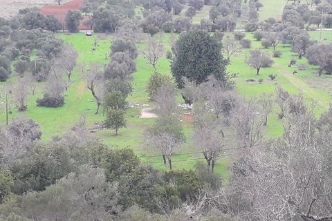 Helårsgrund i Paderne, Faro, Paderne - € 75.000 | Ref: es5553682 - foto 1