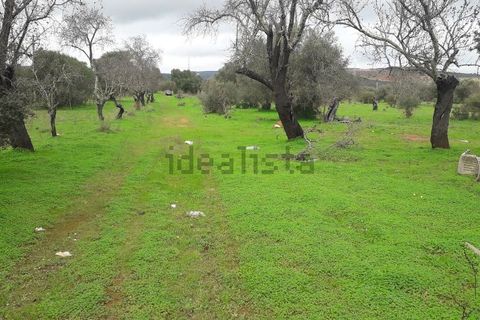 Helårsgrund i Paderne, Faro, Paderne - € 75.000 | Ref: es5553682 - foto 2