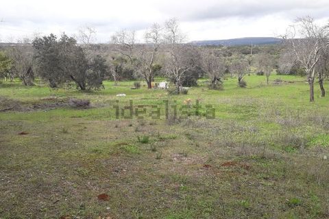 Helårsgrund i Paderne, Faro, Paderne - € 75.000 | Ref: es5553682 - foto 3