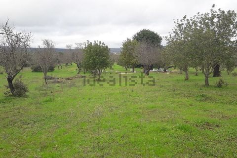 Helårsgrund i Paderne, Faro, Paderne - € 75.000 | Ref: es5553682 - foto 4