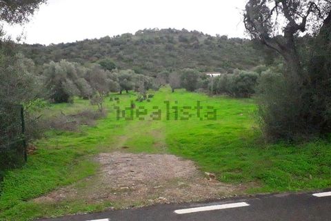 Helårsgrund i Paderne, Faro, Paderne - € 75.000 | Ref: es5553682 - foto 5