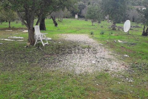Helårsgrund i Paderne, Faro, Paderne - € 75.000 | Ref: es5553682 - foto 7