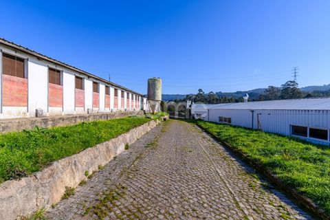 Bungalou a Santo Tirso, Porto, Santo Tirso - € 750.000 | Ref: ZMPT578694 - foto 14