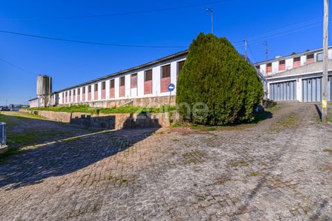 Bungalou a Santo Tirso, Porto, Santo Tirso - € 750.000 | Ref: ZMPT578694 - foto 15