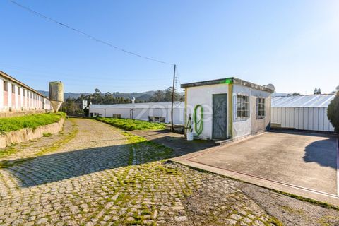 Bungalou a Santo Tirso, Porto, Santo Tirso - € 750.000 | Ref: ZMPT578694 - foto 17