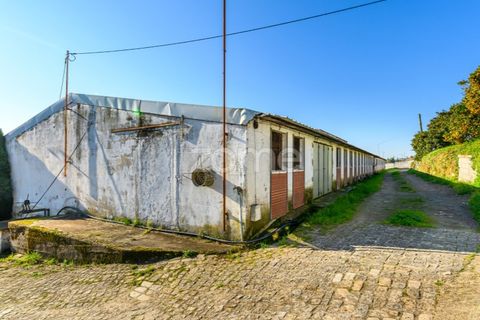Bungalou a Santo Tirso, Porto, Santo Tirso - € 750.000 | Ref: ZMPT578694 - foto 18
