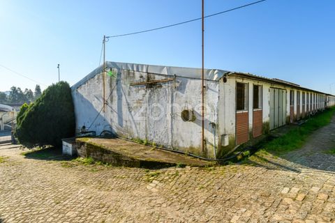 Bungalou a Santo Tirso, Porto, Santo Tirso - € 750.000 | Ref: ZMPT578694 - foto 19
