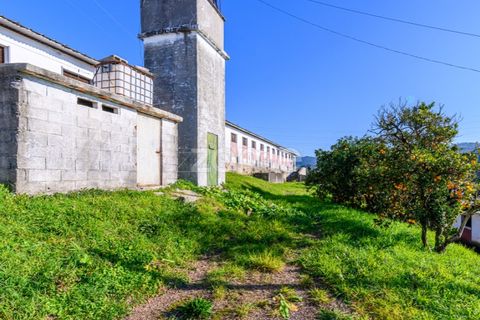 Bungalou a Santo Tirso, Porto, Santo Tirso - € 750.000 | Ref: ZMPT578694 - foto 23