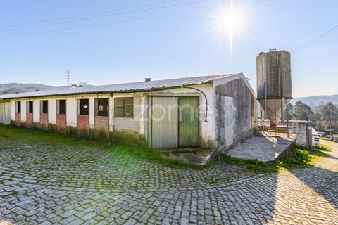 Bungalou a Santo Tirso, Porto, Santo Tirso - € 750.000 | Ref: ZMPT578694 - foto 26