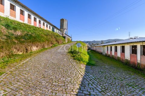 Bungalou a Santo Tirso, Porto, Santo Tirso - € 750.000 | Ref: ZMPT578694 - foto 27