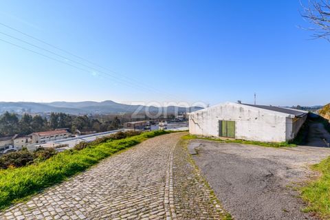 Bungalou a Santo Tirso, Porto, Santo Tirso - € 750.000 | Ref: ZMPT578694 - foto 29