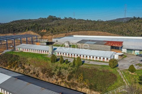 Bungalou a Santo Tirso, Porto, Santo Tirso - € 750.000 | Ref: ZMPT578694 - foto 6