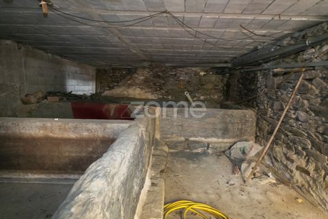 Villa a Sabrosa, Vila Real, Sabrosa - € 95.000 | Ref: ZMPT581370 - foto 38